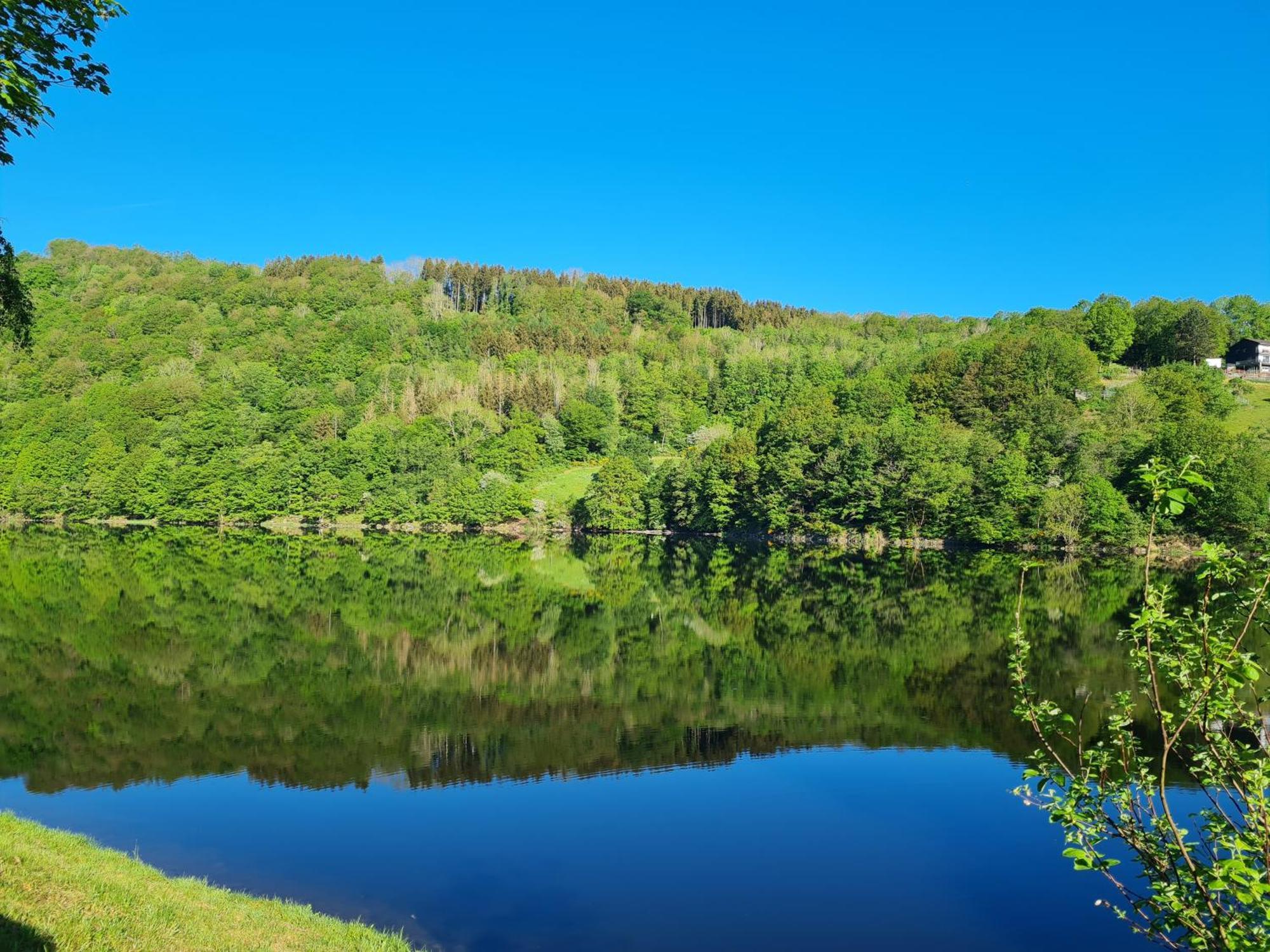 Am Rursee -wohnung 2 Apartment